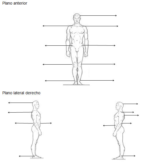Alteraciones posturales