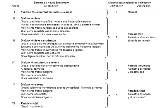 Descargar Lector De Pdf