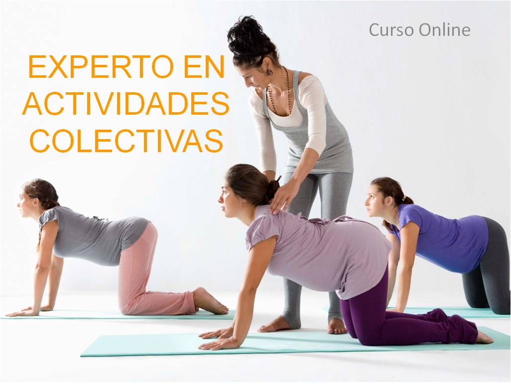 Experto en Actividades Colectivas para Fisioterapeutas Experto en Actividades Colectivas para Fisioterapeutas