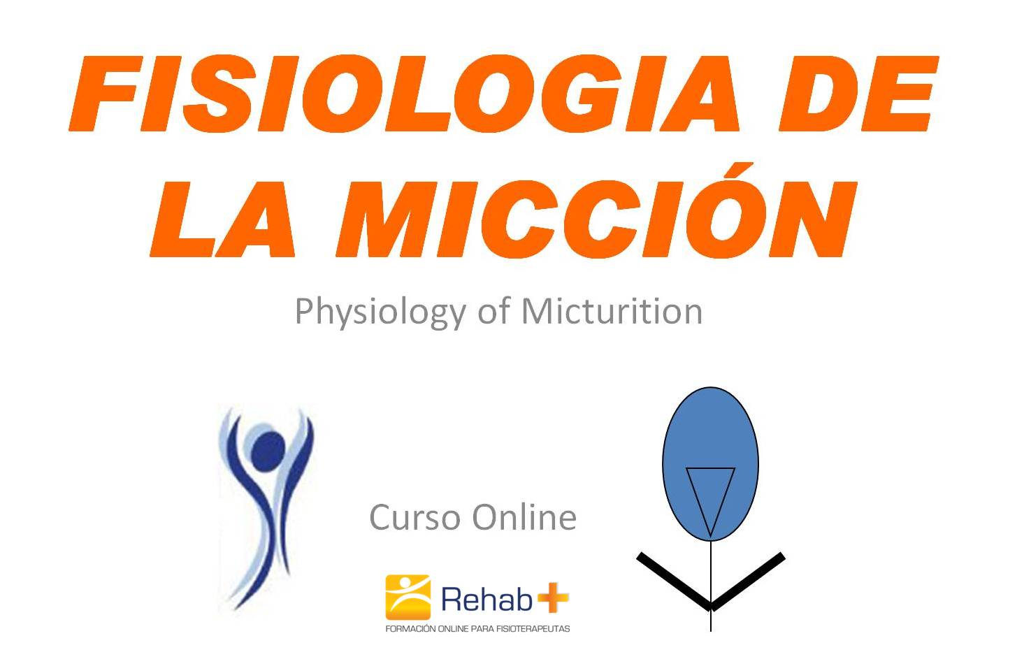 Fisiología de la Micción Fisiología de la Micción