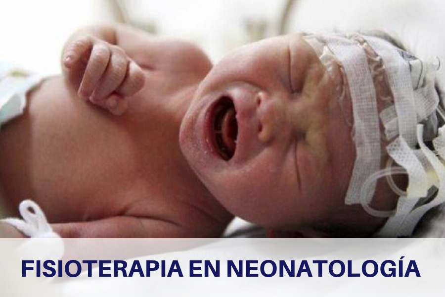 Curso online Fisioterapia en Neonatología Curso online Fisioterapia en Neonatología