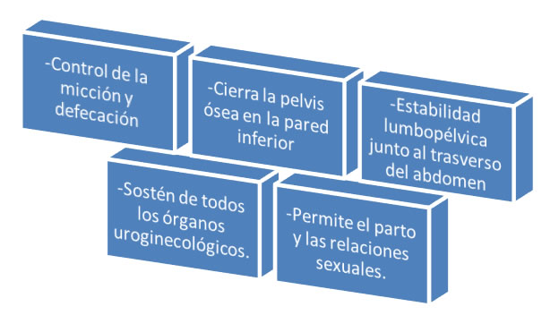 posturas en el parto