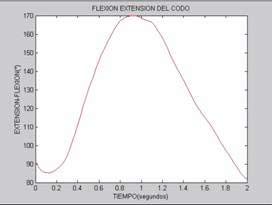 flexión y extensión del antebrazo