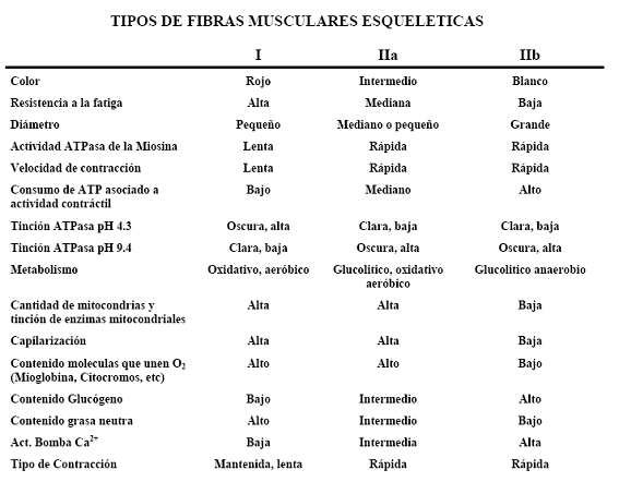 isioterapia ambulatoria