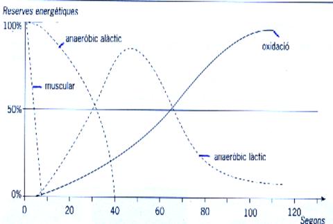 isioterapia ambulatoria