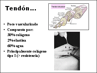 Psicología aplicada a la recuperación