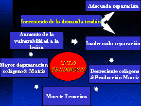 Psicología aplicada a la recuperación