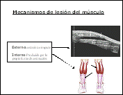 Psicología aplicada a la recuperación