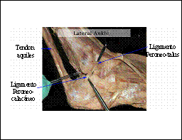 Psicología aplicada a la recuperación