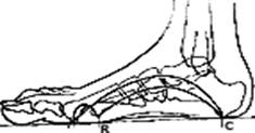 Fisioterapia pie plano