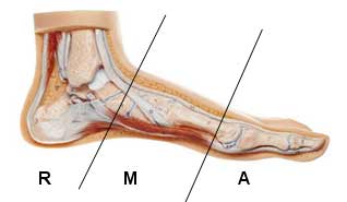 Fisioterapia pie plano