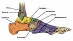 Fisioterapia pie plano