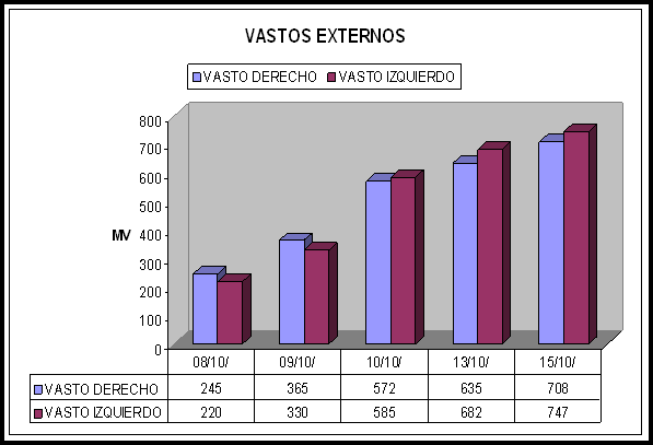 Manejo fisioterapéutico de menisectomia