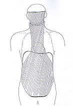 La fascia en fisioterapia