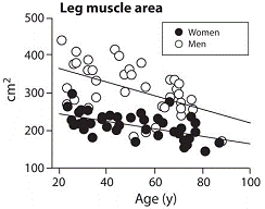 ejercicios sarcopenia