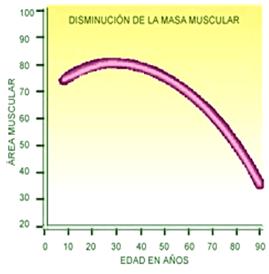 ejercicios sarcopenia