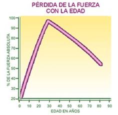 ejercicios sarcopenia