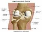 Biomecánica articulación femoropatelar