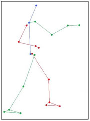 articulación tibiotarsiana