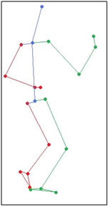 articulación tibiotarsiana