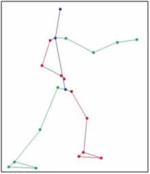 articulación tibiotarsiana