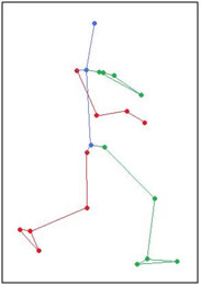 articulación tibiotarsiana