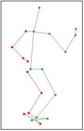 articulación tibiotarsiana