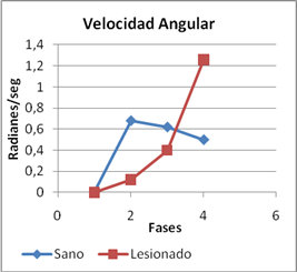 articulación tibiotarsiana