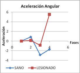 articulación tibiotarsiana