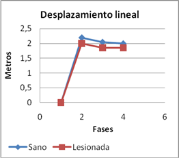 articulación tibiotarsiana