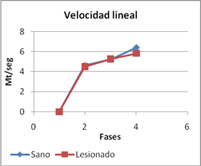 articulación tibiotarsiana