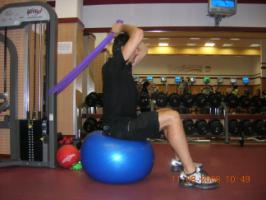 Fisioterapia deportiva bíceps braquial