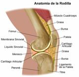 Tendinitis rotuliana en el ciclismo