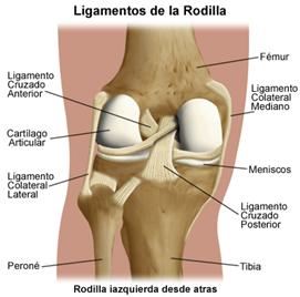 Benefícios de usar tape en los futbolistas