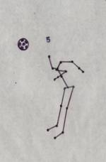 Analisis biomecanico de rodilla