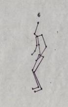 Analisis biomecanico de rodilla