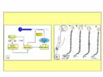 microelectrólisis percutánea guiada