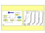 microelectrólisis percutánea guiada