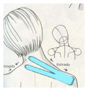 Aplicaciones del vendaje neuromuscular en las cervicalgias.