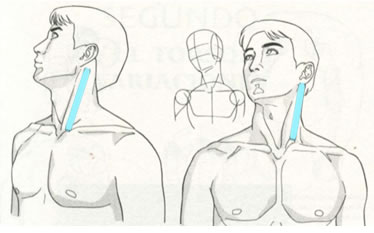 Aplicaciones del vendaje neuromuscular en las cervicalgias.