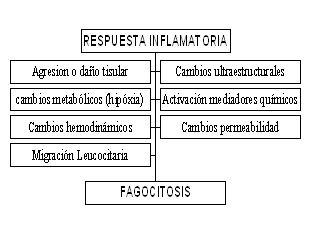 tendinopatía rotuliana