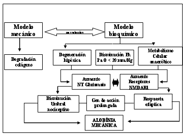 tendinopatía rotuliana