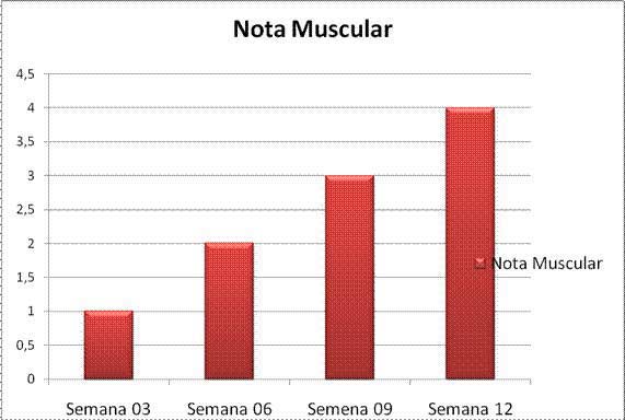 Rehabilitación a paciente con Lesión Medular