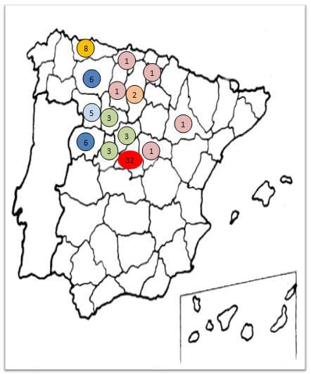 efectividad del tratamiento fisioterápico