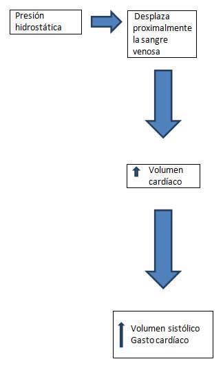 Hidroterapia durante el embarazo