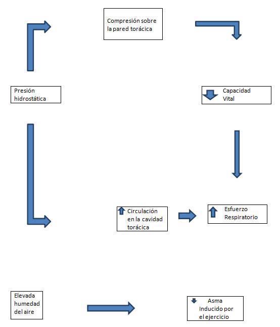 Hidroterapia durante el embarazo