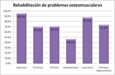 acudir a un fisioterapeuta