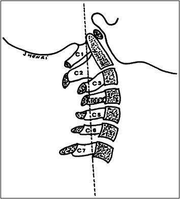 entrenamiento cervico-mandibular