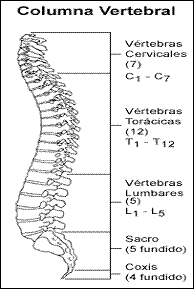 hidroterapia y fisioterapia en discopatias lumbares