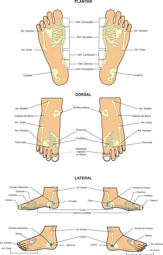 Reflexología podal